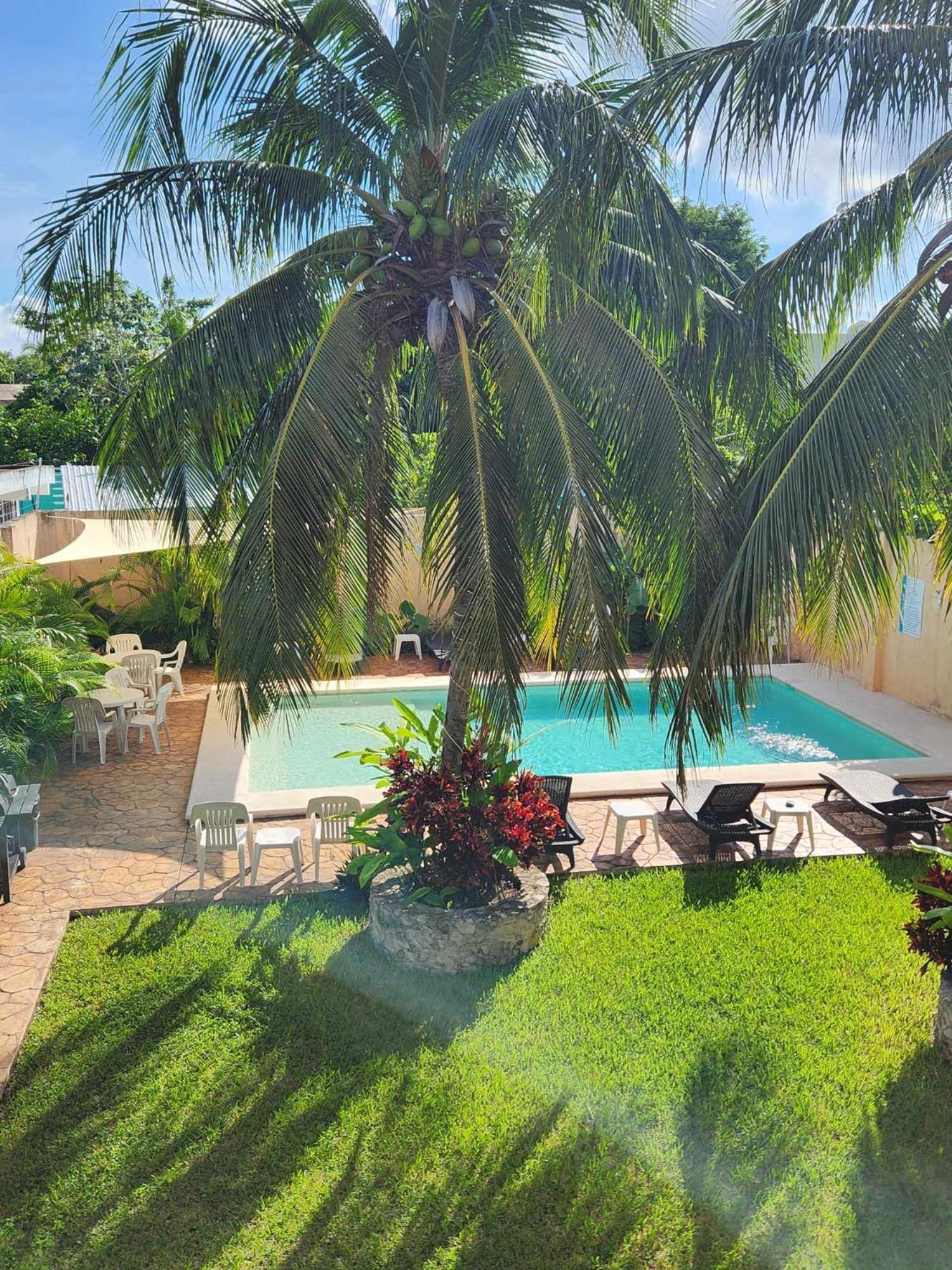 Coral Island Suites Cozumel Eksteriør billede